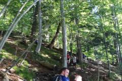 IMG_20200905_090748