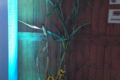 IMG-20190831-WA0003
